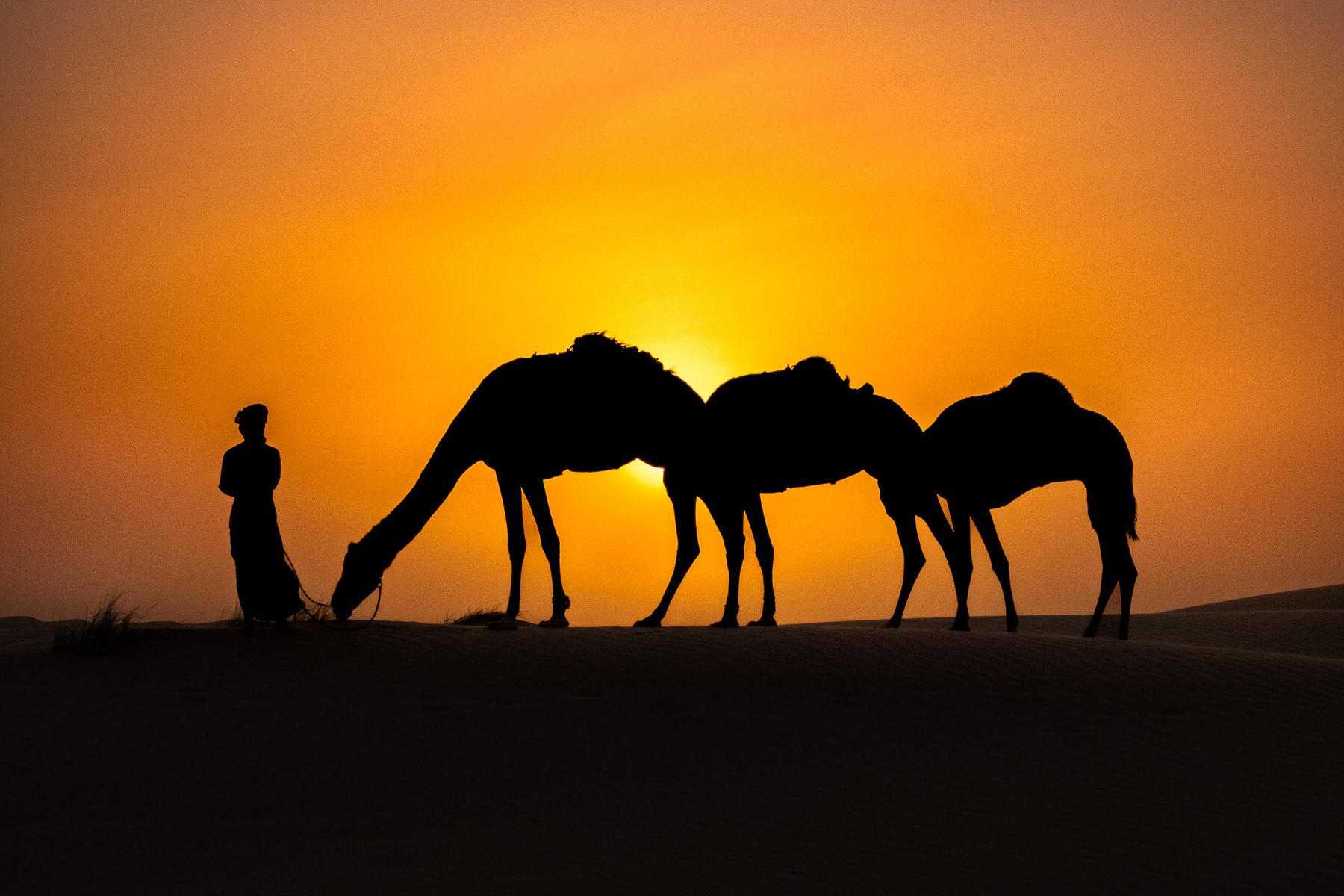 Led by Patience — Oman, photograph by Ben Wood